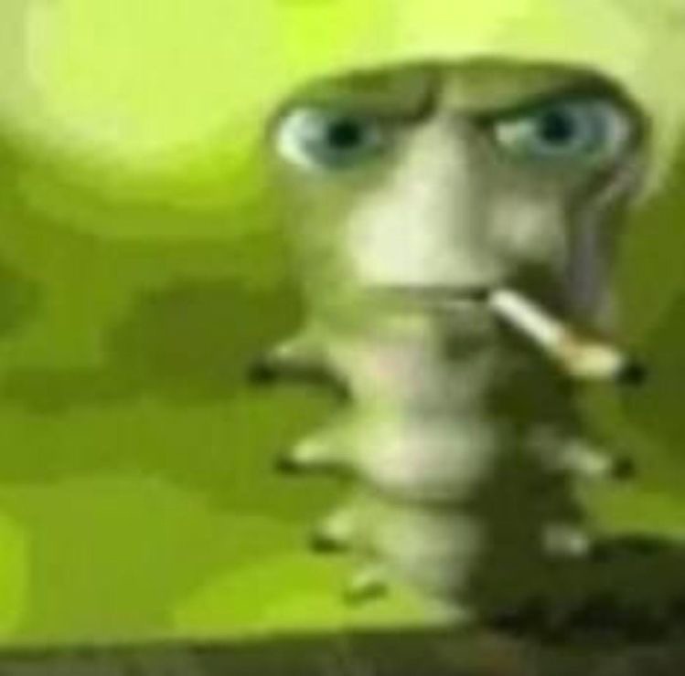 Create meme: caterpillar with a cigarette, caterpillar with a cigarette meme, Caterpillar with a cigarette.