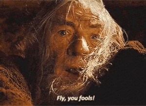 Create meme: run you fools, Gandalf, Gandalf fools