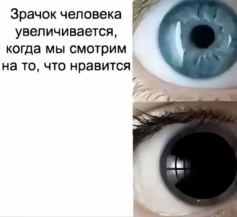 Create meme: pupils dilate, human pupils, pupils