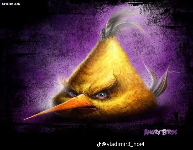 Create meme: The bird from the Angri Birds, sam spratt angry birds, sam spratt realistic angry birds