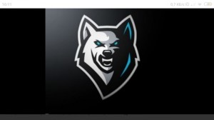 Create meme: wolf, pictures for the clan in standoff 2, clan