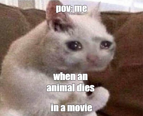 meme-pov-me-when-an-animal-dies-in-a-movie-all-templates-meme