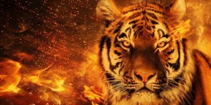 Create meme: tiger, fire lion, live Wallpaper Golden lion