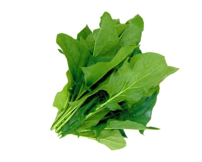 Create meme: sorrel greens, spinach, spinach herb