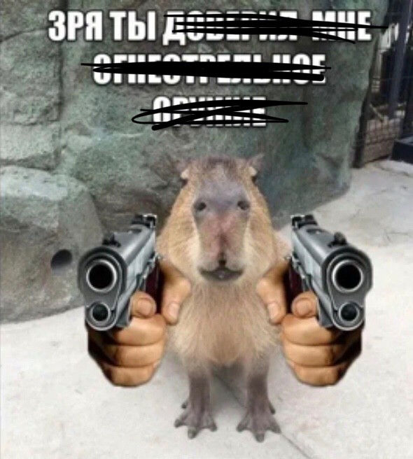 Create meme: capybara meme, a pet capybara, capybara is funny