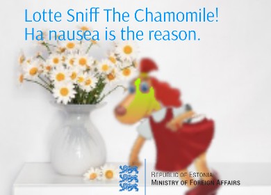 Create meme: Chamomile Chamomile, bouquet of daisies, chamomile flowers