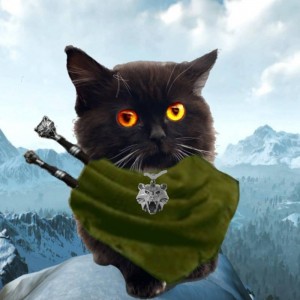 Create meme: kitties, the elder scrolls, animals