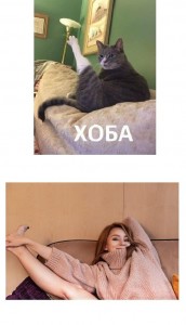 Create meme: double hoà picture, cat amine, o God