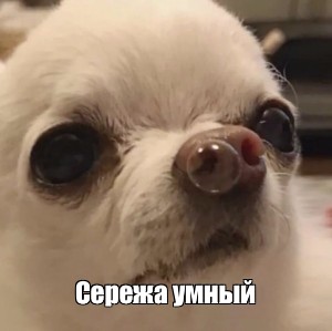 Создать мем: null