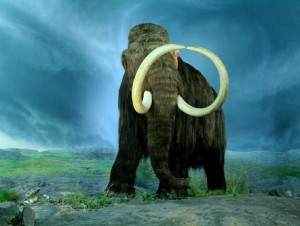 Create meme: the steppe mammoth, the woolly mammoth
