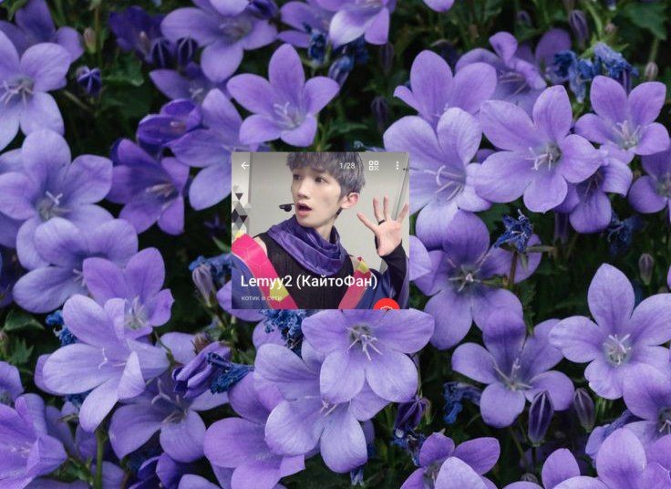 Create meme: portenschlag campanula, bell home flower, bell flower