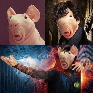 Create meme: doctor strange 2016, selfie, Rat