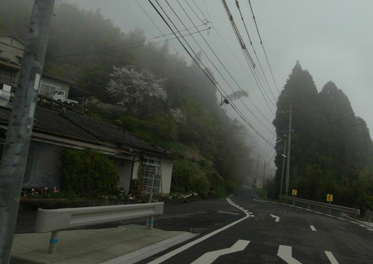 Create meme: the landscape is gloomy, 113 Japan, nature 