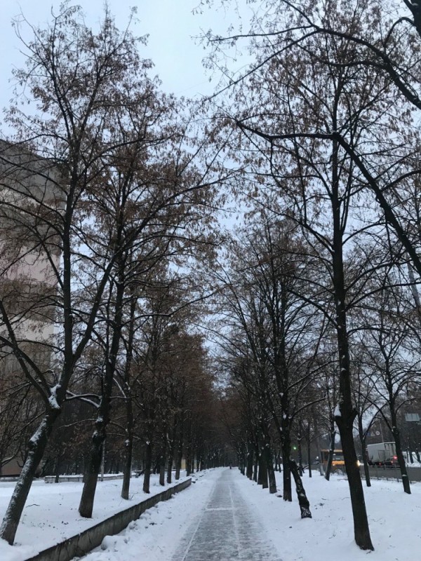 Create meme: street , snow , winter snow 