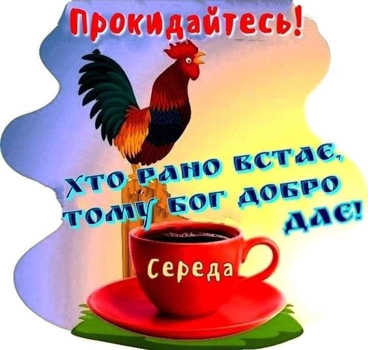 Create meme: good morning dear friends, good morning dear friends, good morning with a cock