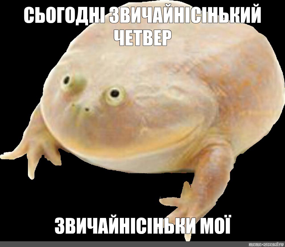 Its wednesday my dudes мем. Жаба mem. Фото лягушки Мем. Its Wednesday my dudes League of Legends.