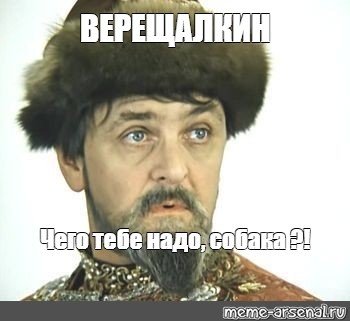 Что тебе еще надо собака