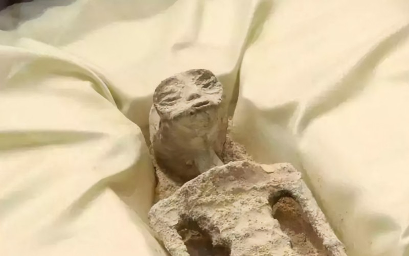 Create meme: mummified body, the mummy is real, the peruvian mummy