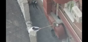 Create meme: the sealing of the roof balcony of the top floor, Blurred image