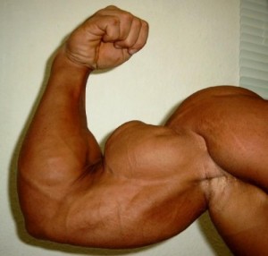 Создать мем: гантели, мышцы плеча, biceps workout
