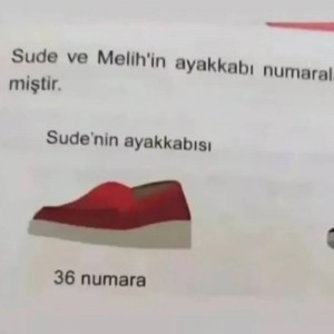 Create meme: text, women's shoes, shoes