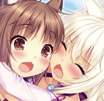 Create meme: anime nekopara, nekopara azuki, nekopara azuki