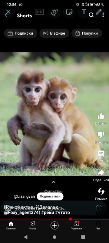 Create meme: little monkeys are friends, two monkeys, monkey