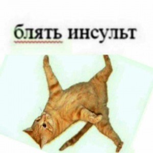 Создать мем: cat, коты, инсульт жопы кот