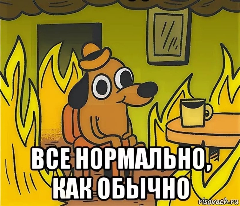 Создать мем: собачка в огне мем, нормально мем, собака в горящем доме
