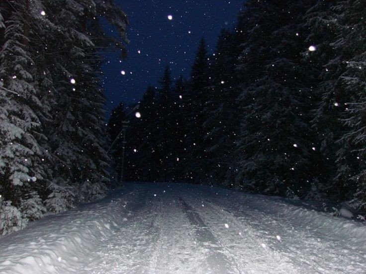 Создать мем: зимний ночной пейзаж, зимний лес ночь, ночной зимний лес