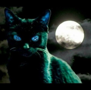 Create meme: cat witch, witch cat pictures, witch with black cat