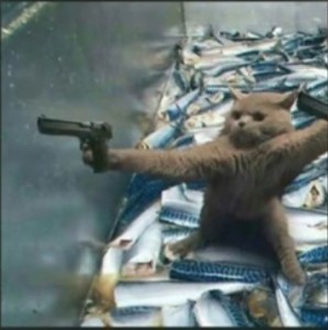 Создать мем: котики смешные, два кота с пистолетами охраняют рыбу, смешные животные