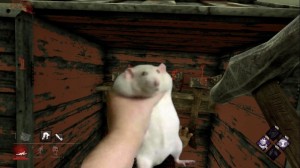 Создать мем: жирная крыса в руке, Скриншот, крыса в руках