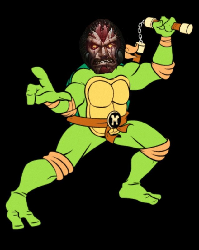 Create meme: teenage mutant ninja turtles, Michelangelo, teenage mutant ninja turtles Michelangelo