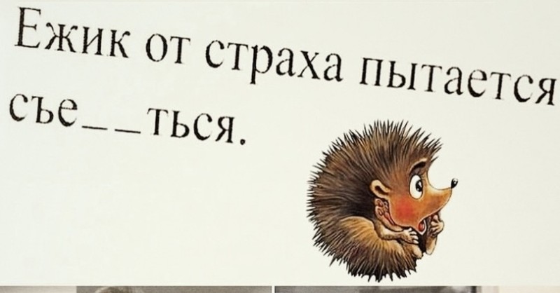 Создать мем: еж от страха пытается, ежик от страха, ёжик от страха пытается съе ться ответ