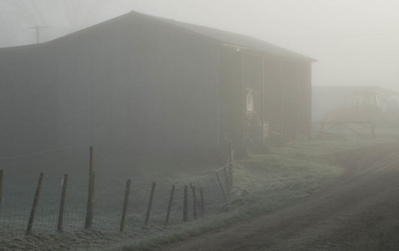 Create meme: morning in the village, smoke , thick fog 