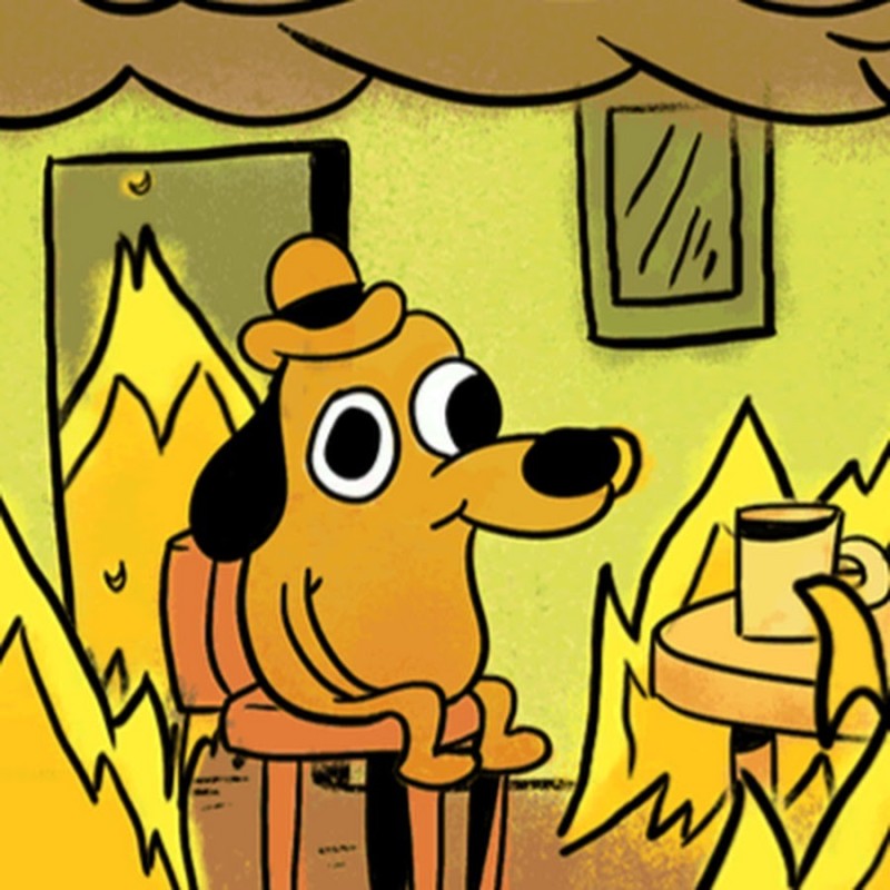 Create meme: A dog in a burning house, meme dog in a burning house, A dog sits in a burning house meme