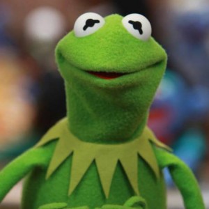 Create meme: muppet, Kermit the frog, kermit the frog