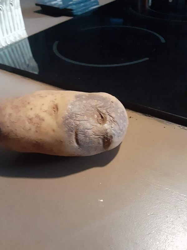 Create meme: potatoes funny, potato meme, potatoes with this