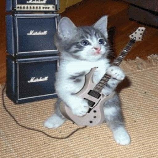 Create meme: cat with electric guitar, The rocker cat, a kitten with an electric guitar