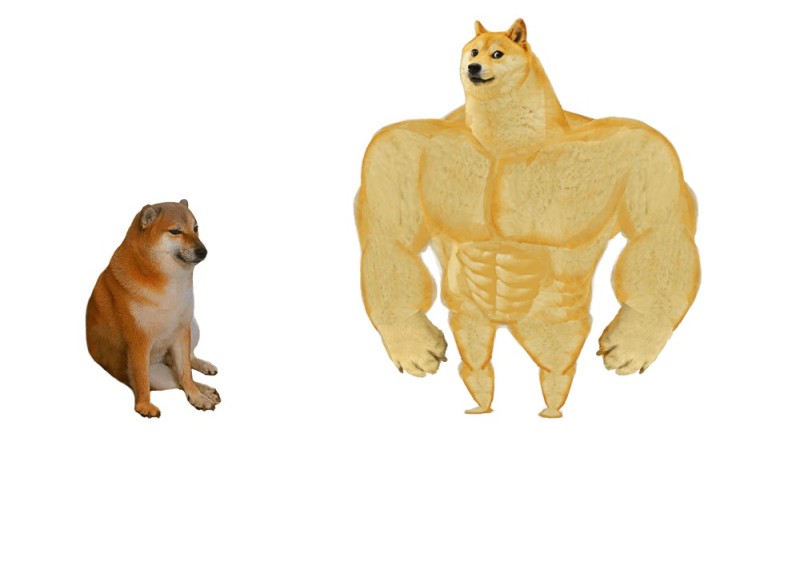 Create meme: the dog is a jock meme, dogs meme jock, the pumped-up dog from memes