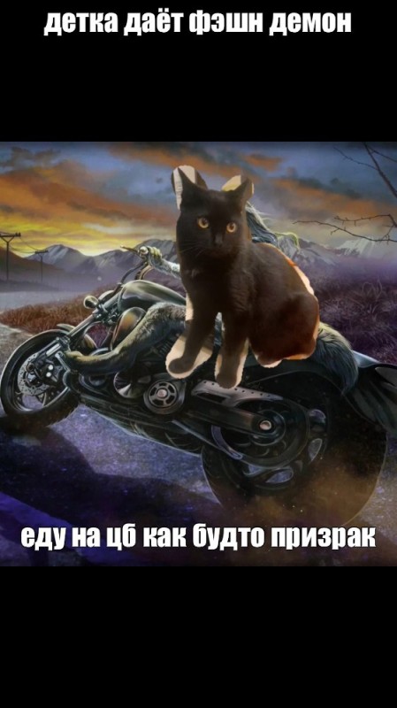 Создать мем: кот, байкеры ночные волки, арт мотоцикл