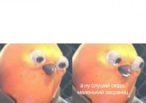 Создать мем: приколы, meme, мемы юмор