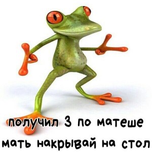Create meme: frog, frog, mother set the table I have 3 Matese