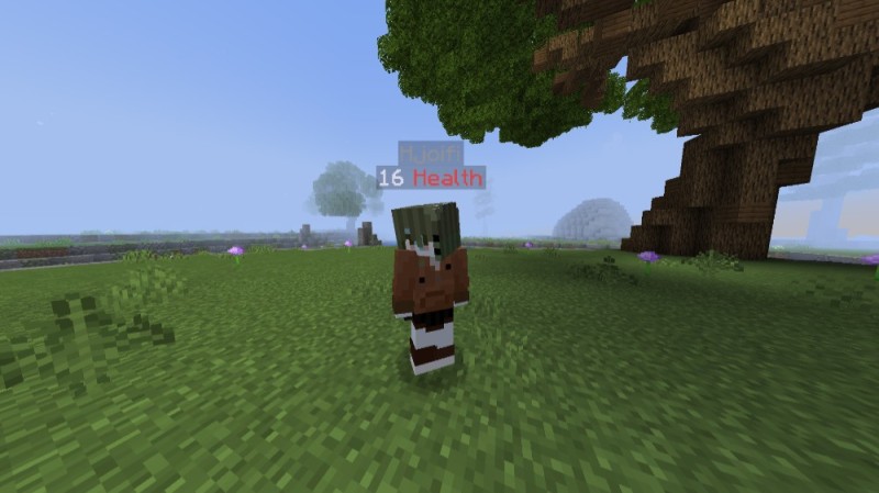 Create meme: minecraft resident, a resident in minecraft, minecraft PE