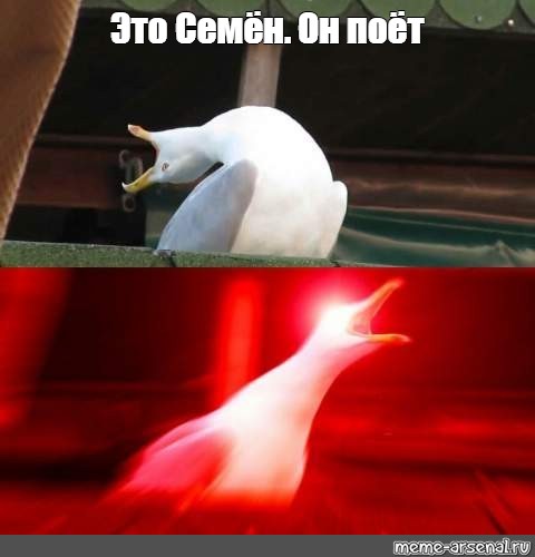 Создать мем: null