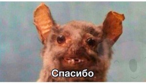 Create meme: bat meme thank you, drunk rat, bat meme