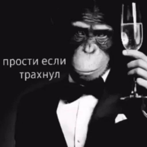 Create meme: monkey in a suit with a glass, monkey with a glass meme, chimpanzee with a glass
