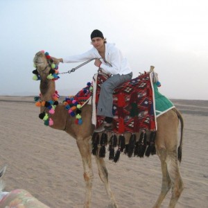 Создать мем: верблюд египет, бедуин на верблюде, верблюд