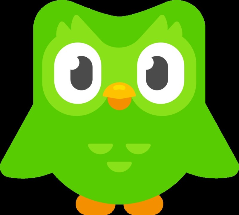 Create meme: duolingo, duolingo characters, owl duolingo